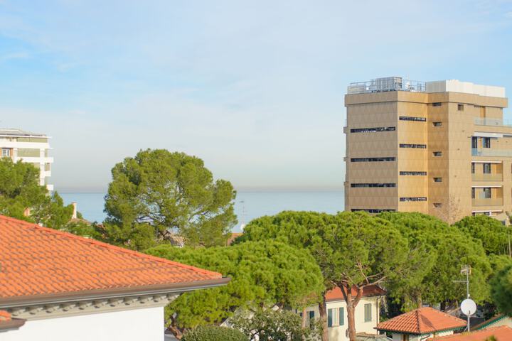 Hotel 61 of 70