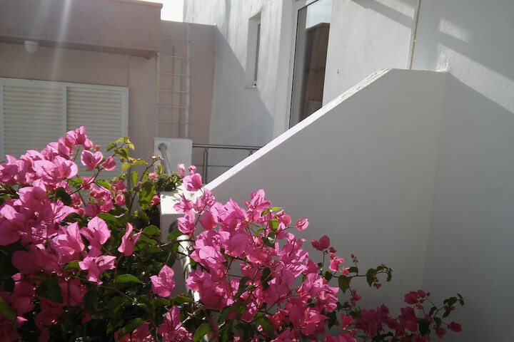 Property Grounds 16 of 19