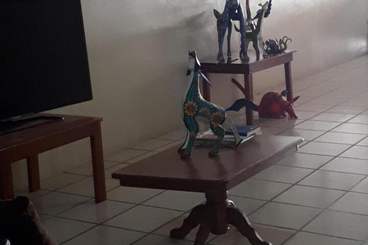 Hotel Alebrijes