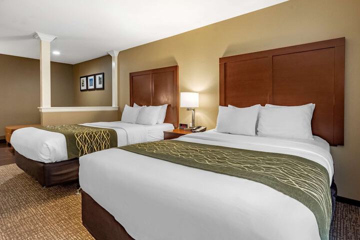 2 Queen Beds (3 of 14)