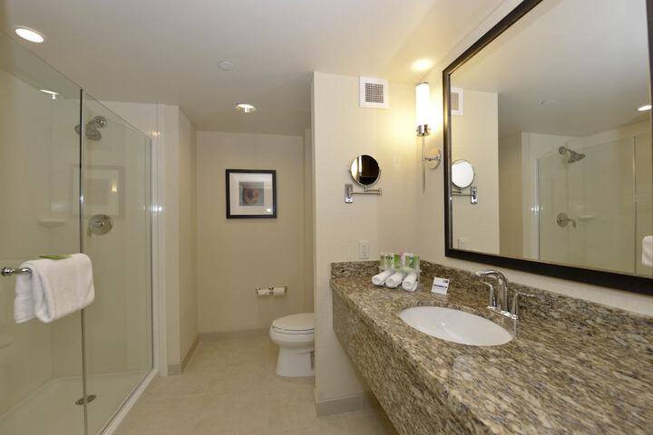1 King Standard Accessible (7 of 17)