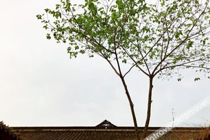 Wanghong Dingzhi Zhaiju Hotel