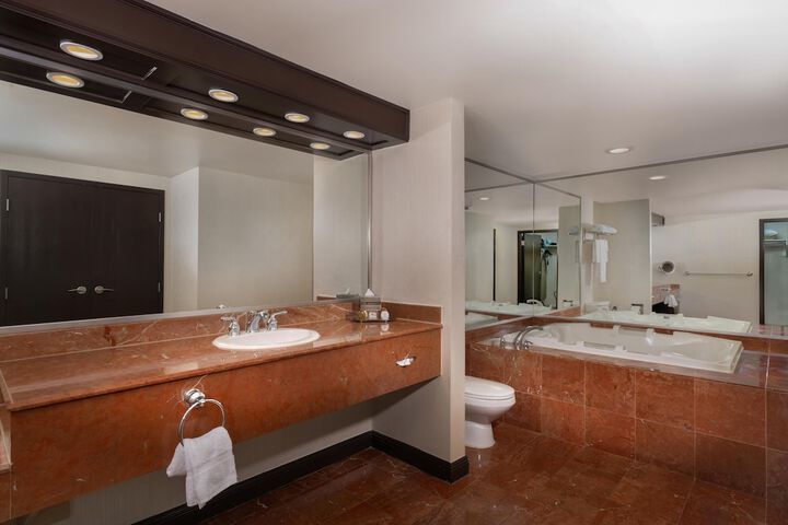 Deluxe Room with 1 Kingsize Bed (10 of 11)