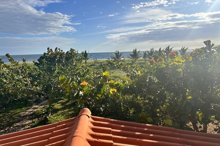 Room 6 of 96