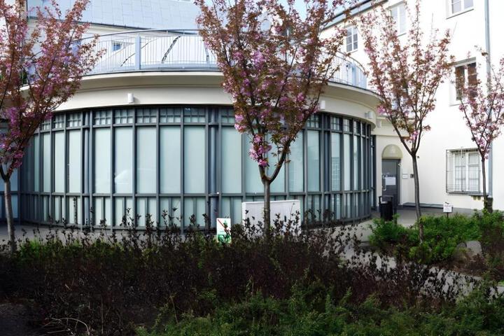 Photo 6