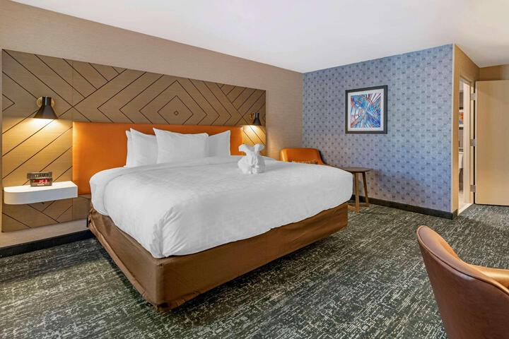1 King Bed Accessible (16 of 17)