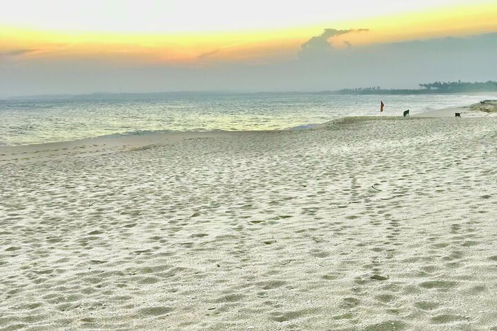 Beach 50 of 56