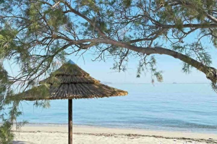Beach 127 of 156