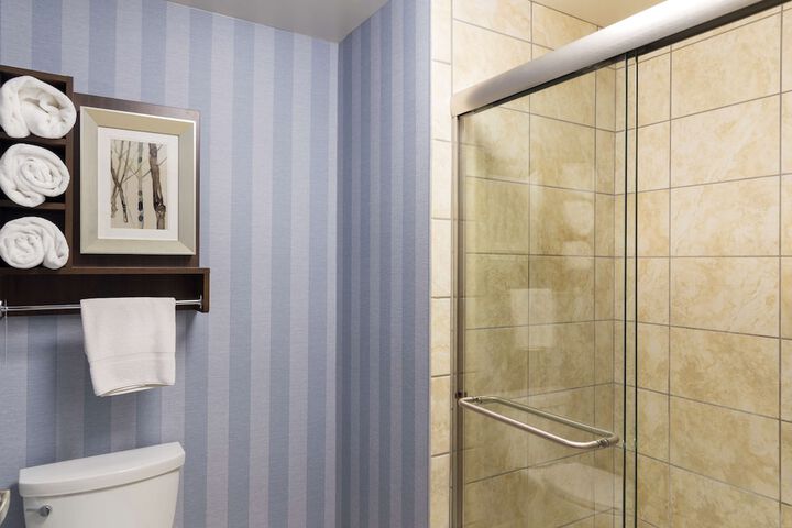 Bathroom shower