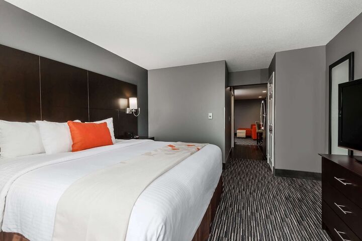 1 King Bed 1 Bedroom Accessible Studio Suite with Roll in Shower (6 of 8)