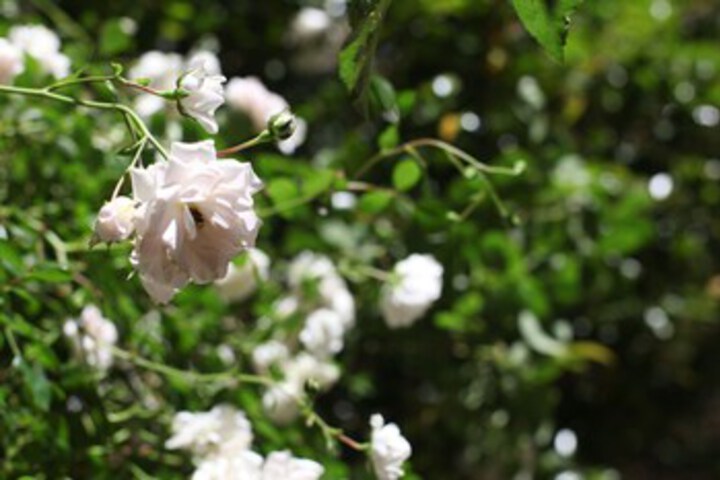 Hotel Exterior 9 of 58