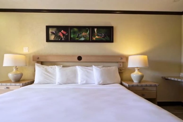 Room 26 of 62