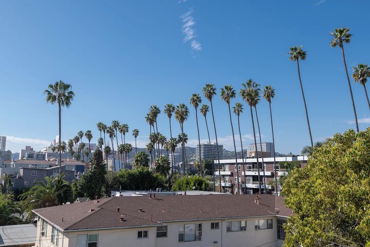 Terrace/Patio 25 of 36