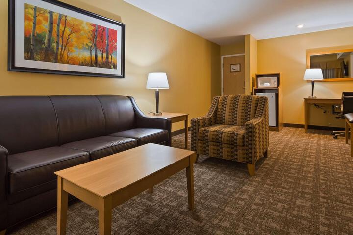 Suite 1 King Bed Nopet Qnsof Wirles Coffee Maker Microfridge Full Breakfast (18 of 19)