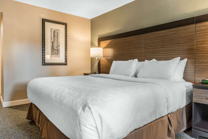 1 King Bed (7 of 16)