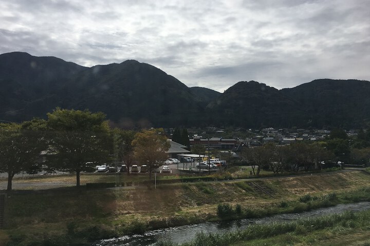 View from room