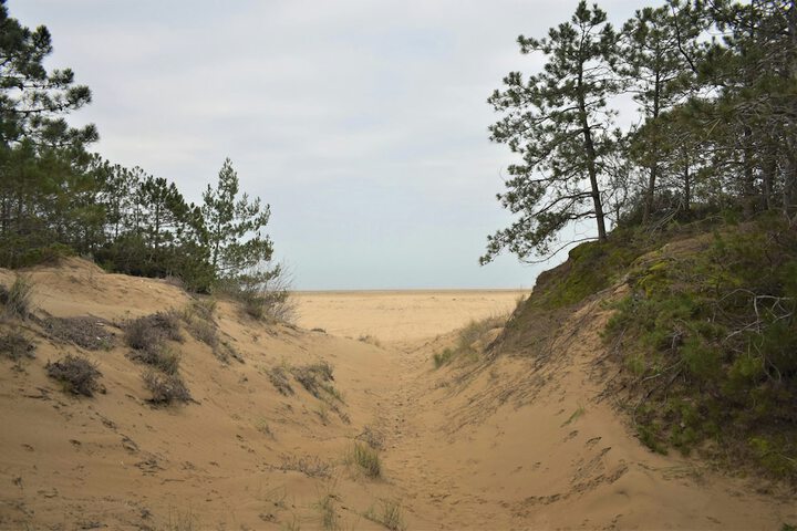 Beach 35 of 36