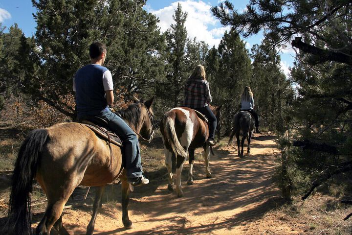 Horseback riding