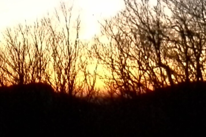 Terrace/Patio 10 of 14