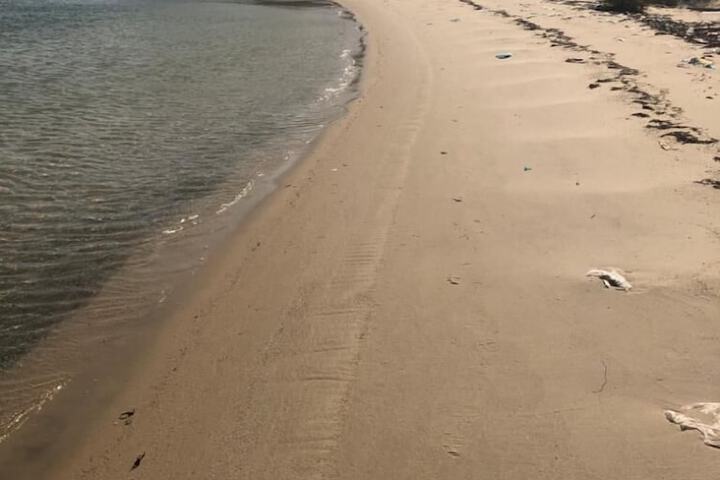 Beach 27 of 35