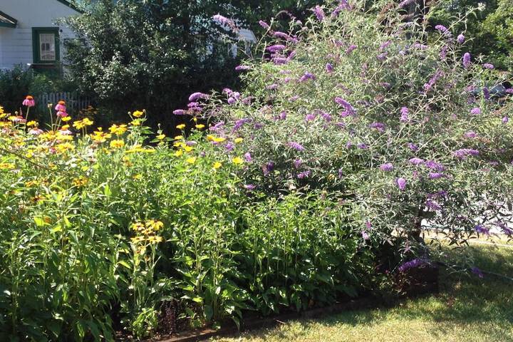 Property Grounds 23 of 37