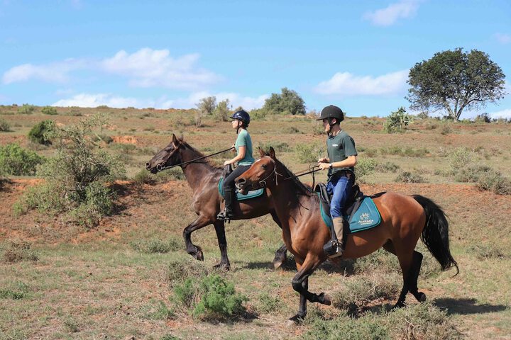 Horseback riding