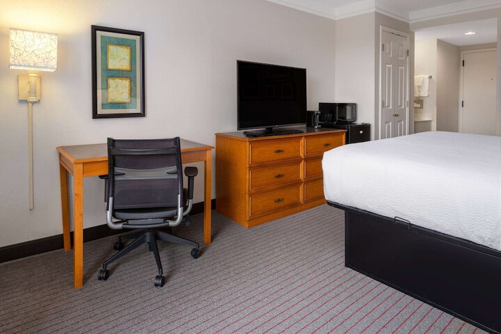 1 King Bed Executive Mobility Accessible Bathtub with Grab Bars (1 of 14)