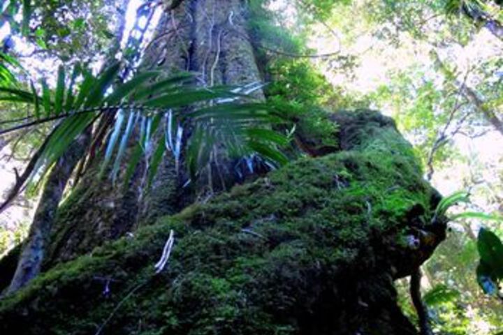 Property Grounds 33 of 43