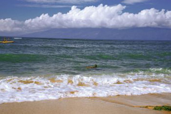 Beach 15 of 97