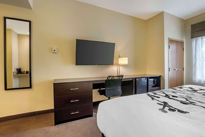 1 King Bed (17 of 18)