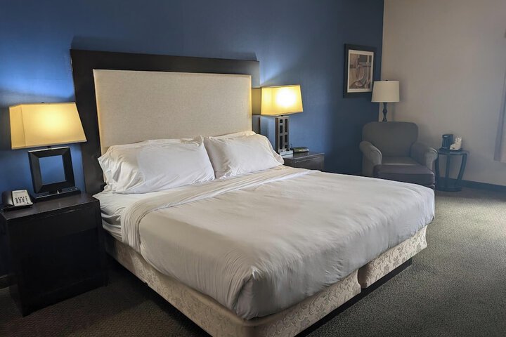 1 King Bed (8 of 9)