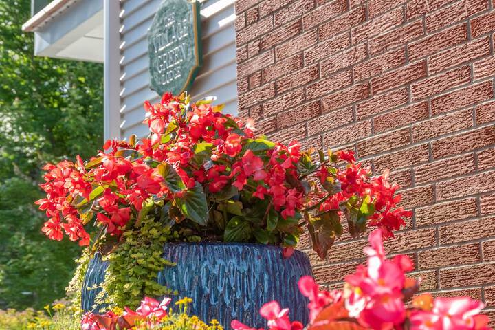 Property Grounds 34 of 50