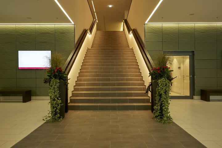 Entrance & Lobby