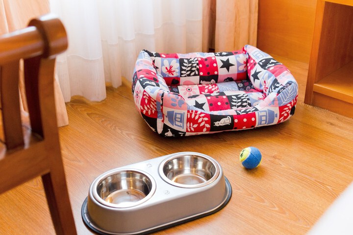 Pet-friendly