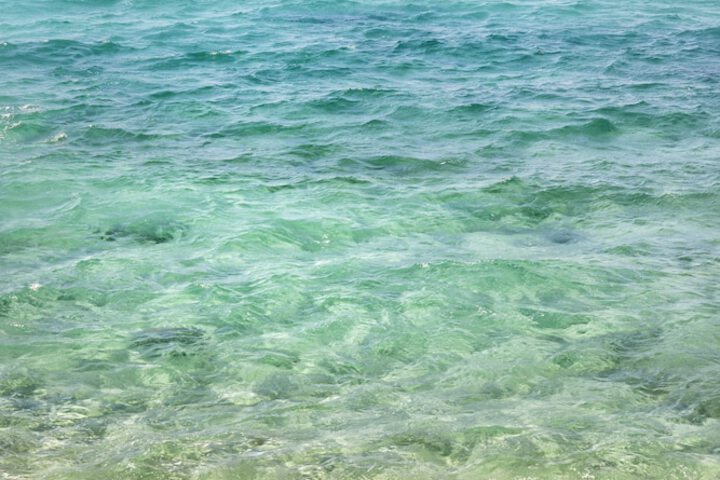 Beach 155 of 199
