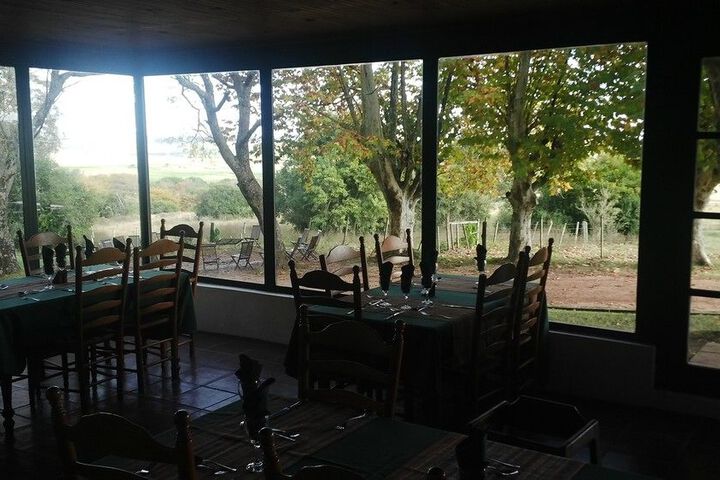 Dining 68 of 73