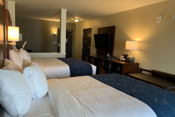 Basic 2 Queen Beds Sofa (15 of 30)