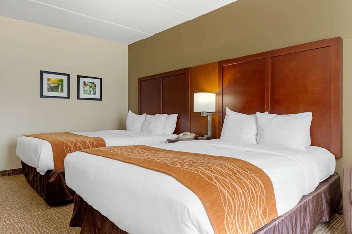 2 Queen Beds (5 of 6)