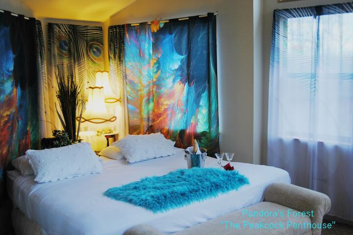 Room 8 of 51