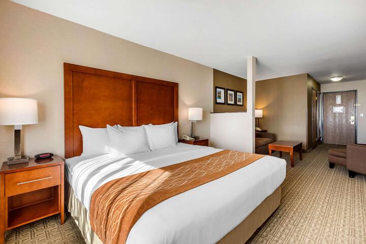 Standard | King Bed (17 of 21)