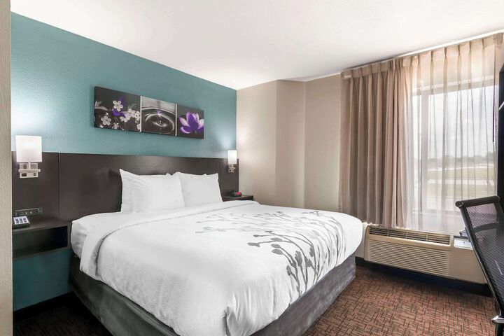 1 King Bed (7 of 12)