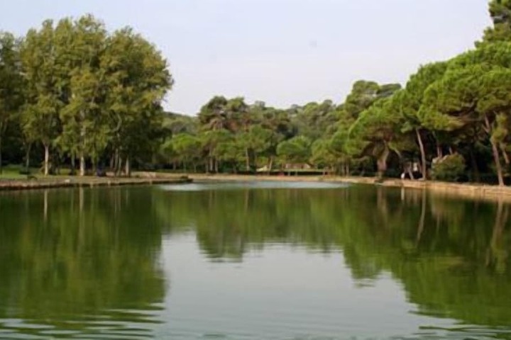 Lake