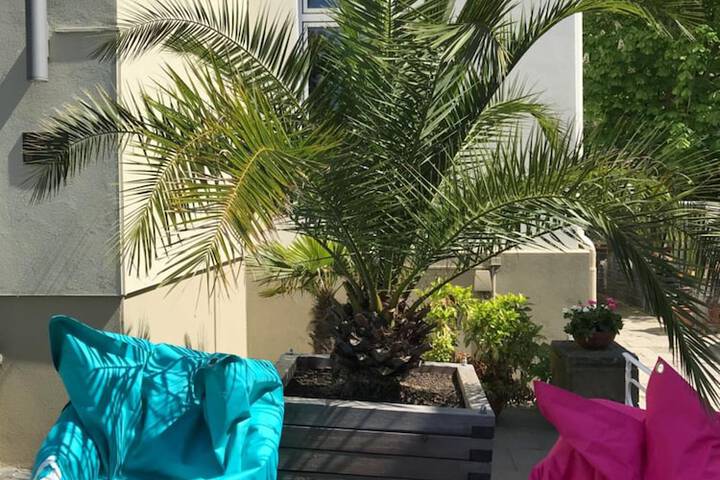 Terrace/Patio 11 of 21