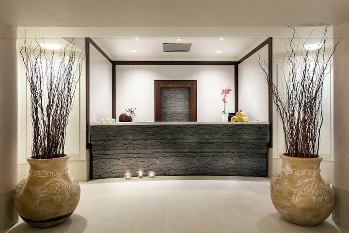 Spa and Wellness