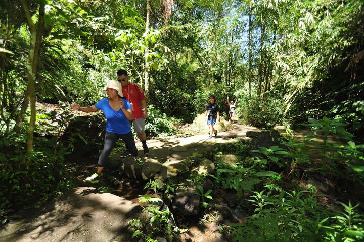 Hiking