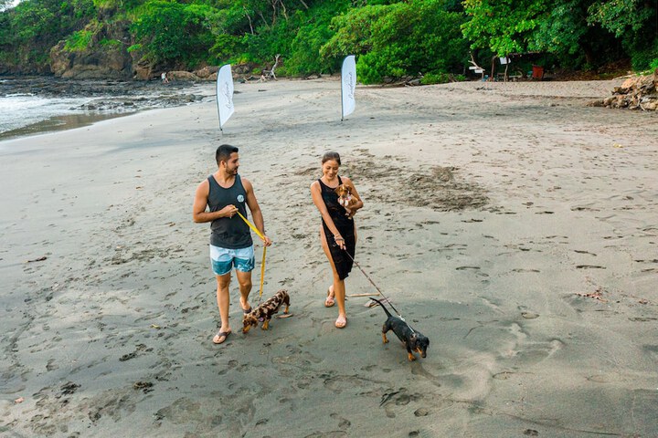 Beach 90 of 104