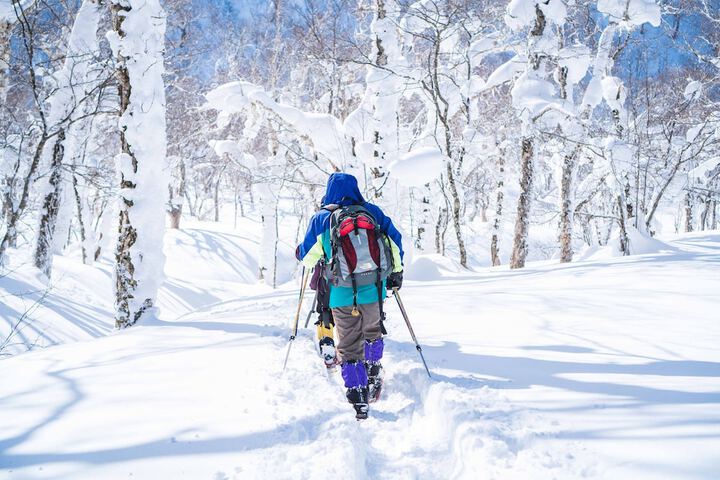 Snowshoeing