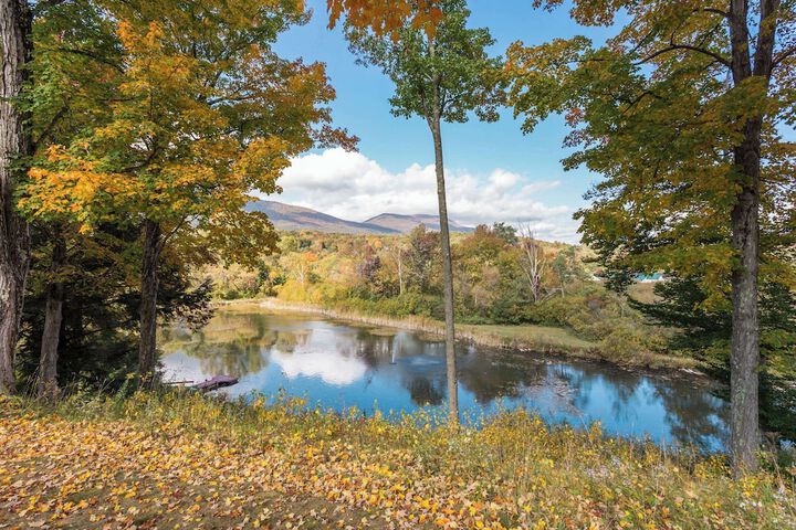 Lake view