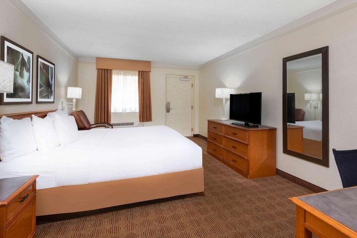 1 King Bed Accessible (15 of 24)