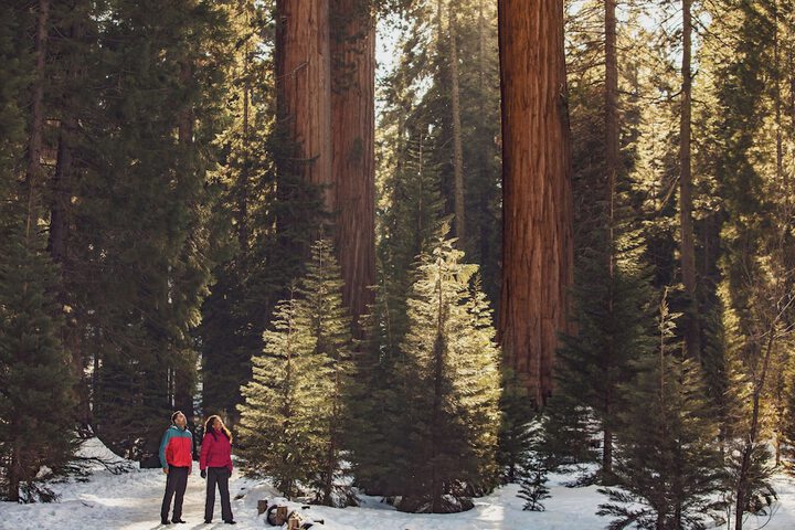 Hiking